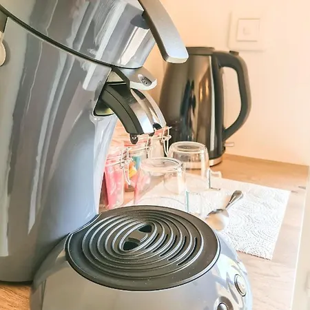 Elegante A Deux Pas De La Cite Episcopale D'albi Konukevi Albi