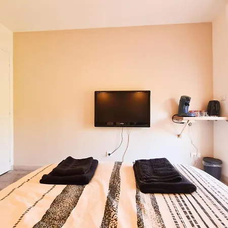 Elegante A Deux Pas De La Cite Episcopale D'albi Konukevi *