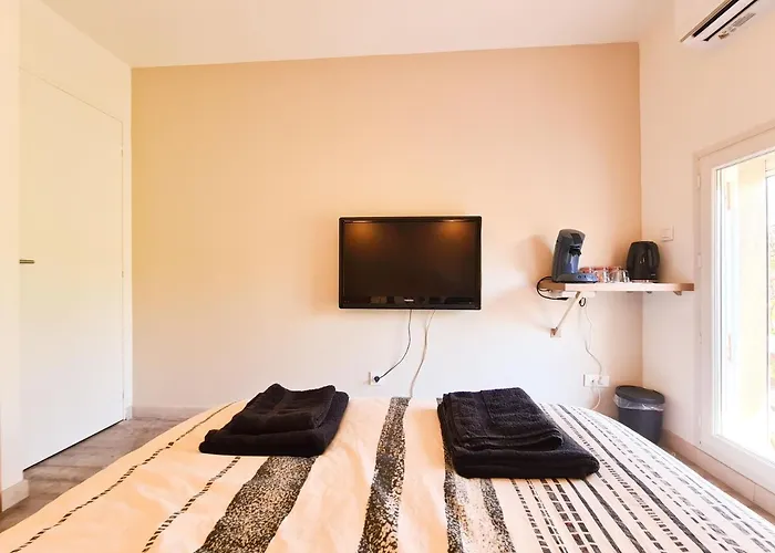 Elegante A Deux Pas De La Cite Episcopale D'albi 招待所 *