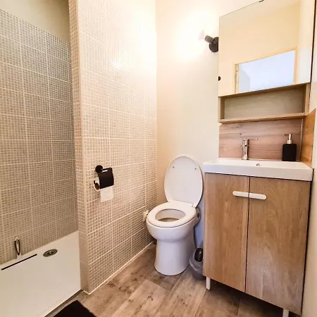 Gasthof Elegante A Deux Pas De La Cite Episcopale D'albi