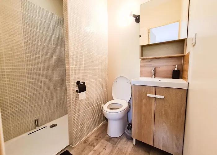 Gasthuis Elegante A Deux Pas De La Cite Episcopale D'albi