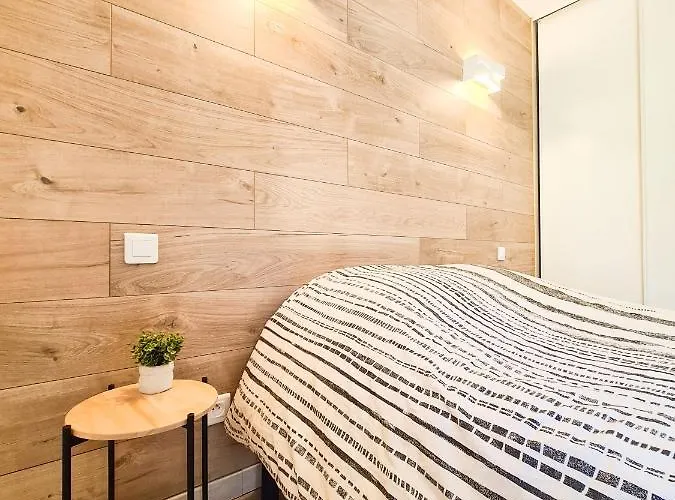 élégante à Deux Pas De La Cité épiscopale D'albi *